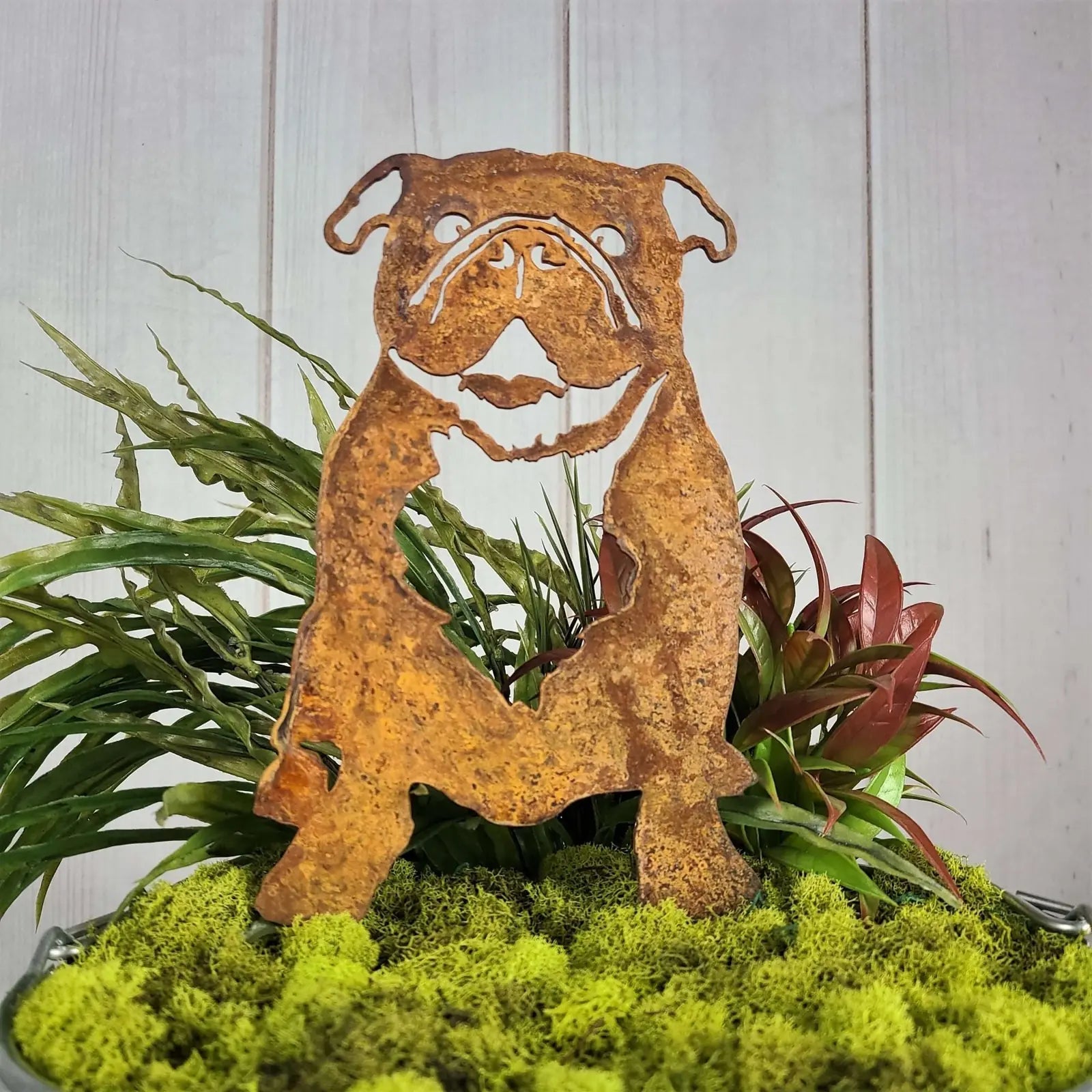 Rustic Corten steel English Bulldog silhouette, showcasing detailed design, nestled among vibrant green moss and plants.