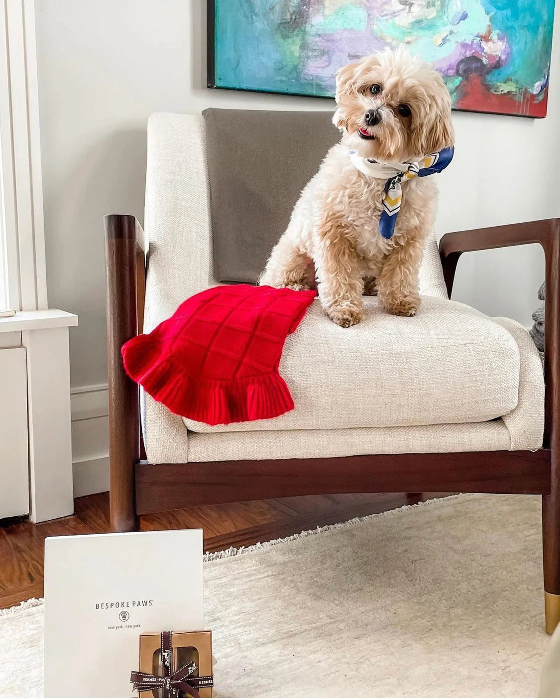 A fluffy dog wearing a blue silk bandana sits on a cream chair next to a red scarf and a stylish gift box.