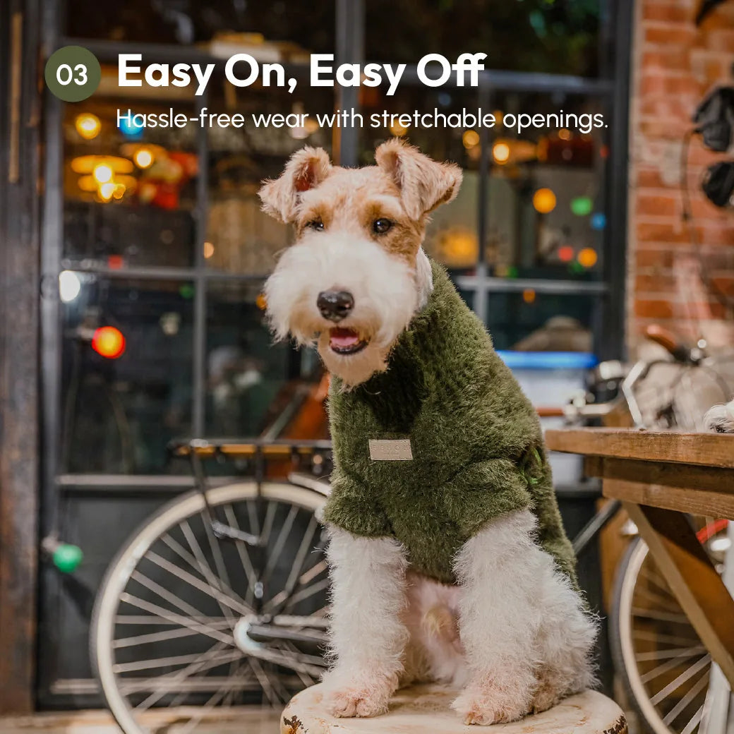 Cozy green fuzzy sweater on a dog, featuring stretchable openings for easy wear and a playful indoor setting.