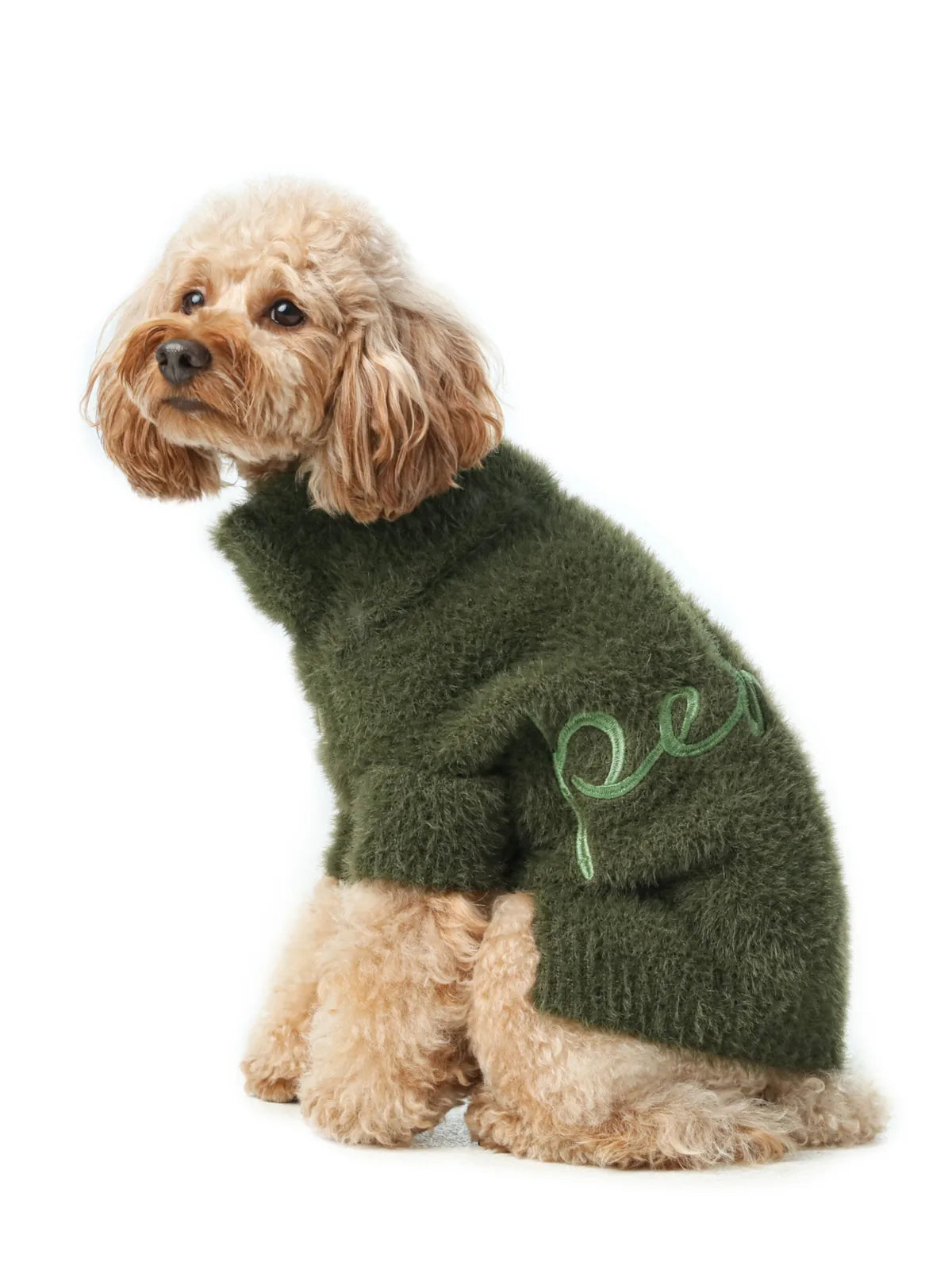 Cozy green Eskimo fuzzy sweater on a fluffy dog, featuring a soft texture and embroidered detail.