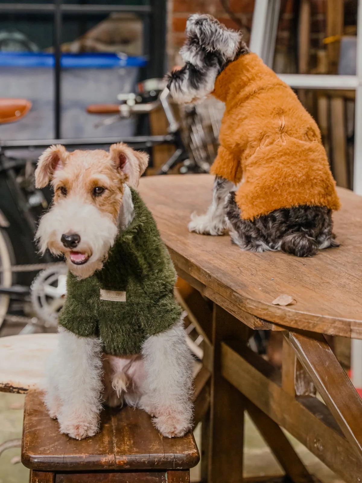 Green Eskimo fuzzy sweater on a dog, featured alongside another dog in an orange sweater, on a wooden table.