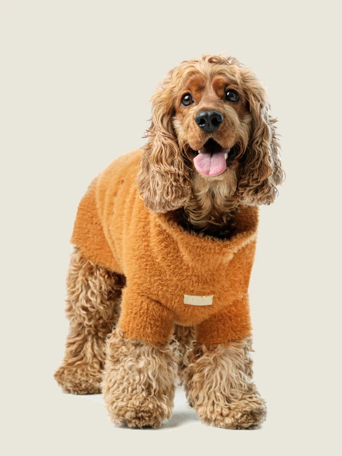 Cocker spaniel wearing an orange fuzzy sweater, showcasing its cozy texture and playful expression.