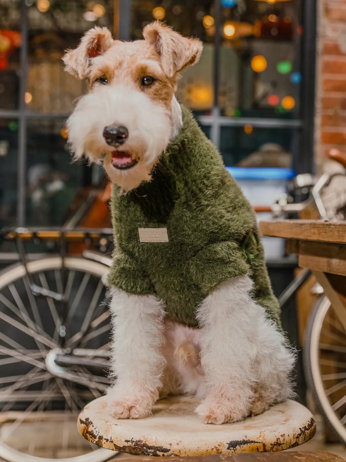 Fuzzy orange dog sweater with stretchable openings, offering warmth and comfort for outdoor activities.