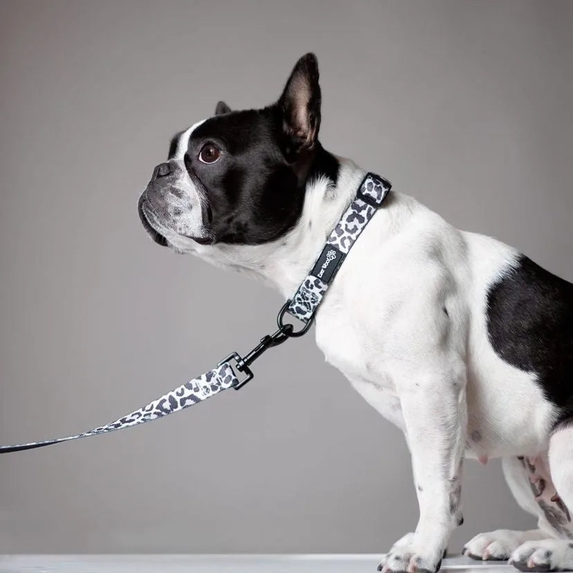Black and white dog wearing an adjustable EverWoof collar with a gray leopard print design.