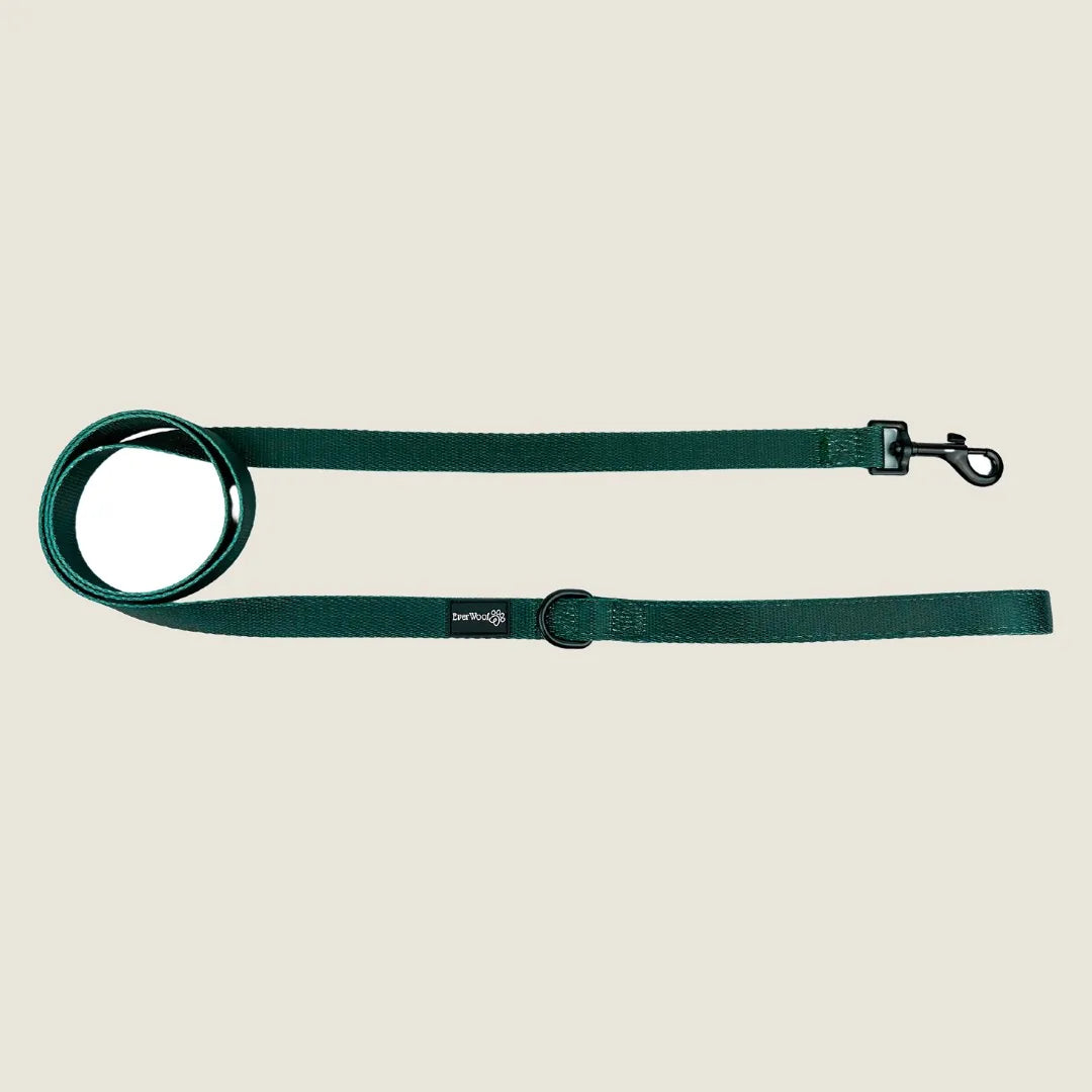 Dark green polyester leash featuring a padded handle and clip for attachments, ideal for everyday dog walks.