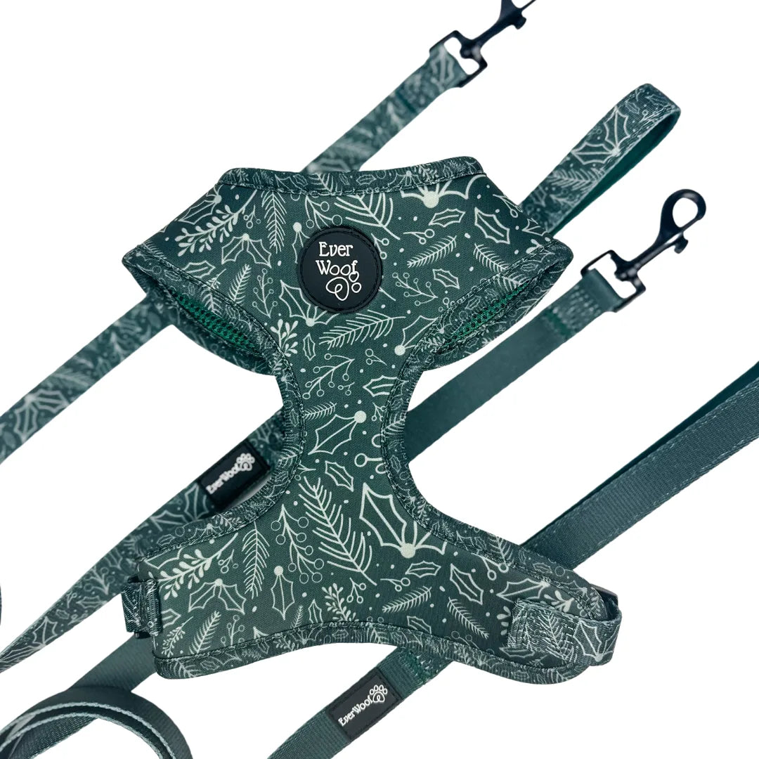 Evergreen Dream leash in patterned green with botanical design, featuring a padded handle and zinc alloy clips.