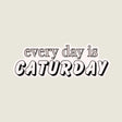 Every Day Is Caturday Sticker