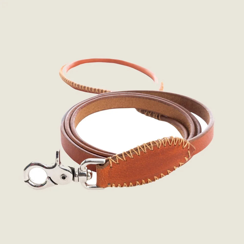 Caramel leather dog leash featuring sturdy iron hardware and decorative stitching, designed for style and durability.