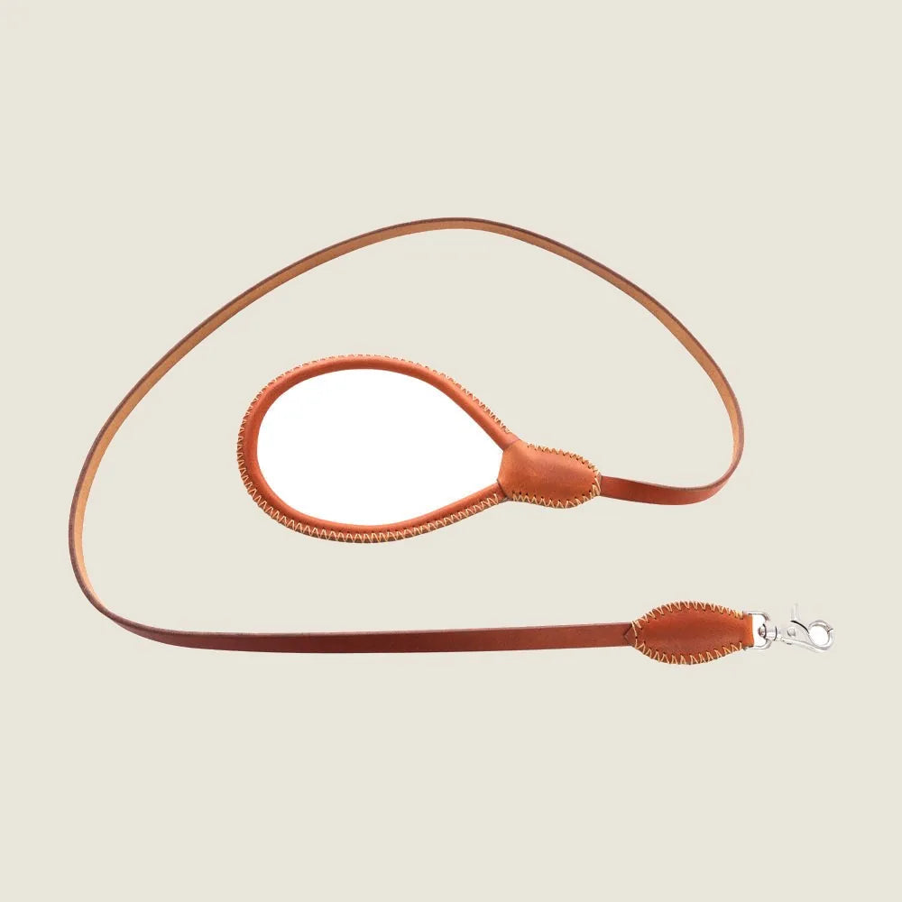 Stylish caramel leather dog leash featuring elegant stitching and a secure clasp for comfortable daily walks.