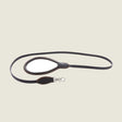 Exploradora Dog Leash in Ebony