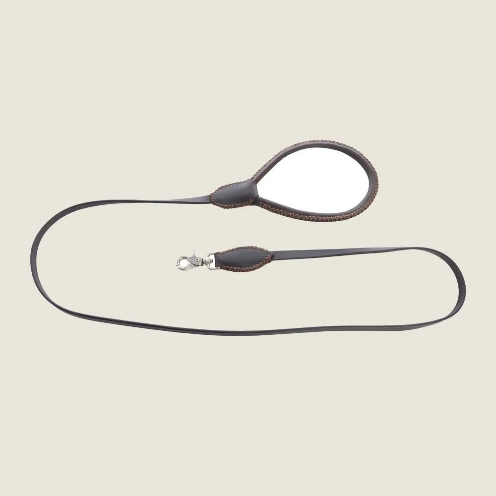 Stylish ebony leather dog leash with durable iron hardware and unique stitching, perfect for daily walks.
