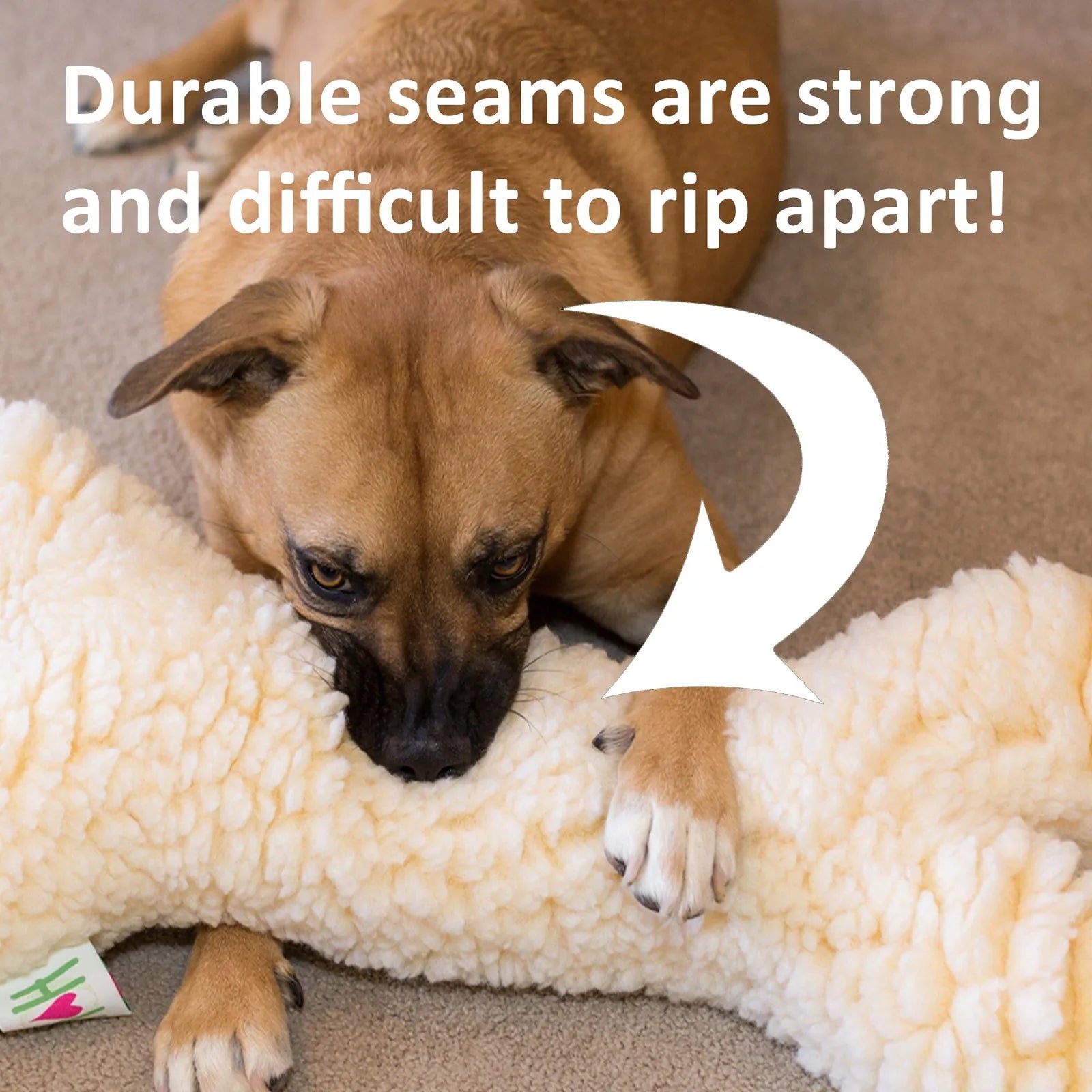 Dog with brown fur playfully chewing on a light, fluffy bone-shaped toy with durable seams on a tan carpet.