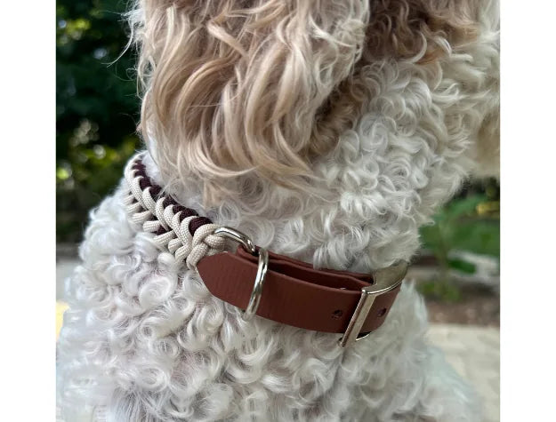 Handmade Fishtail Braided Dog Collar in burgundy and cream, featuring a medium brown buckle and silver D-ring.