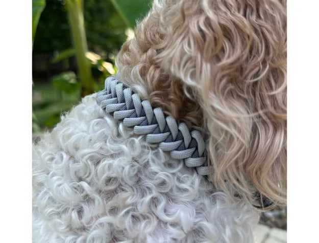 Handmade gray braided dog collar on a curly-haired pup, showcasing durable nylon paracord and a comfortable fit.