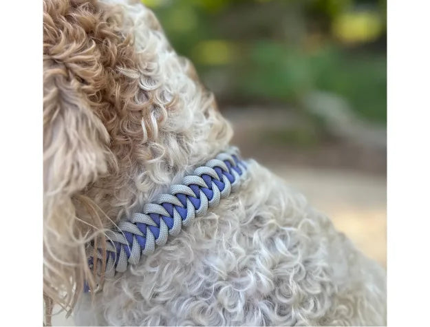 Handmade braided dog collar in lavender and smoke colors, featuring premium nylon paracord on a curly-haired dog.