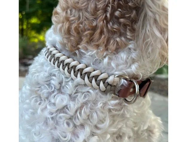 Tan and cream fishtail braided dog collar on a curly-coated dog, showcasing the premium material and adjustable fit.