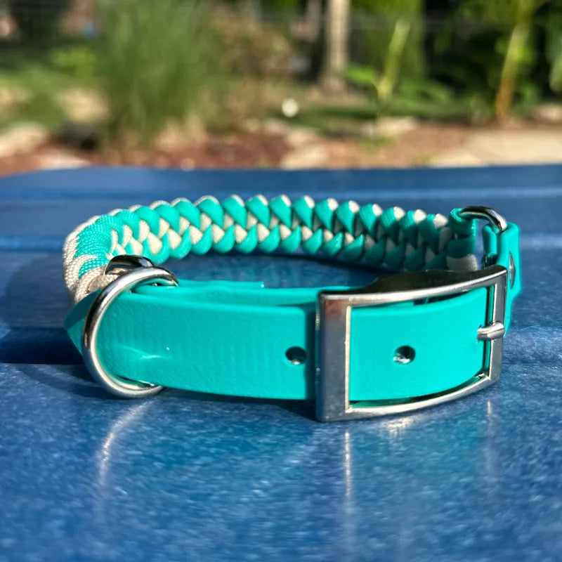 Handmade teal and cream fishtail braided dog collar with durable hardware and adjustable fit, perfect for stylish walks.