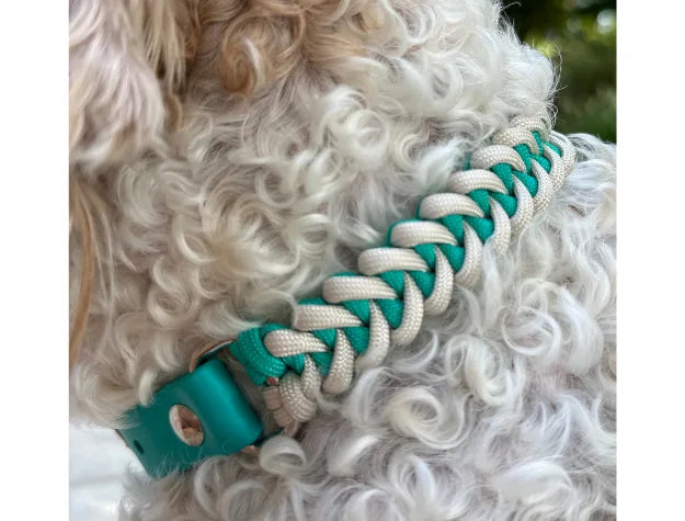 Teal and cream fishtail braided dog collar featuring durable paracord and adjustable BioThane® fitting.