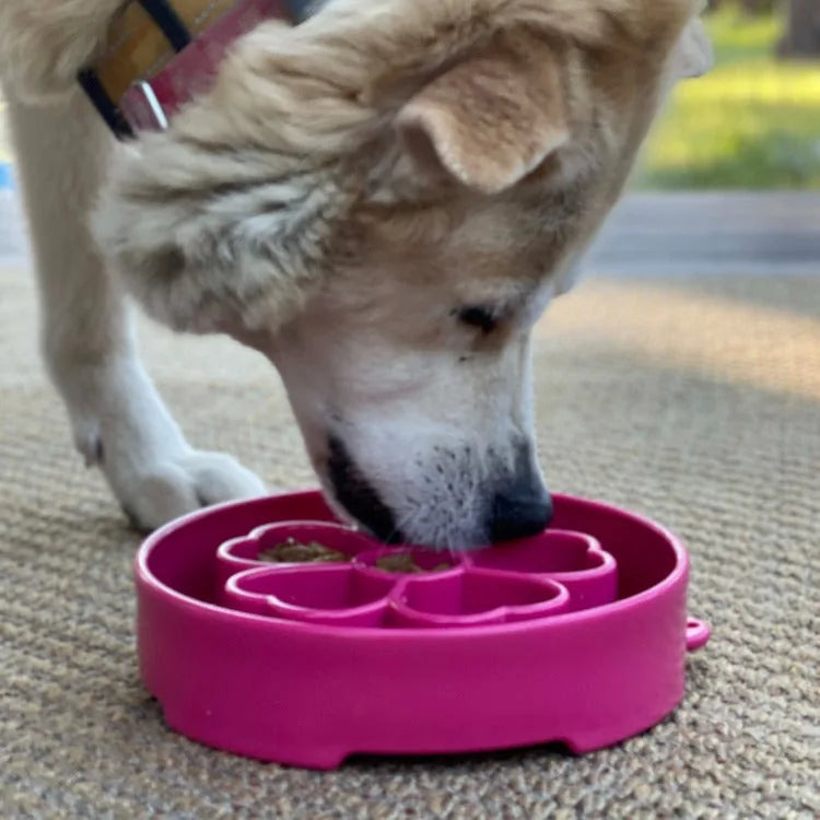 Flower-shaped pink slow feeder bowl being used by a dog to encourage healthy eating habits and foraging behavior.