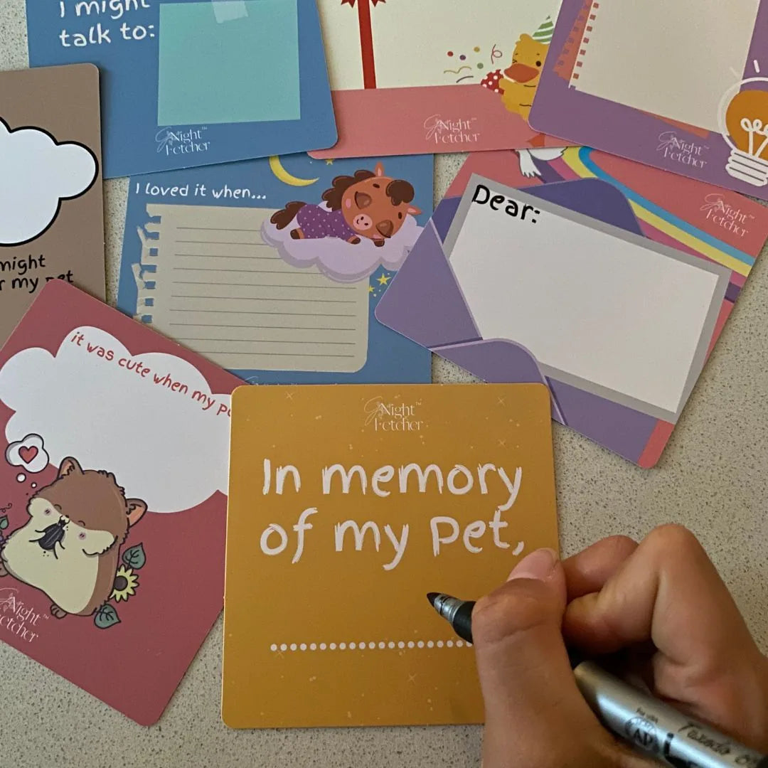 Colorful comfort cards with prompts and affirmations, featuring "In memory of my Pet" card being written on.