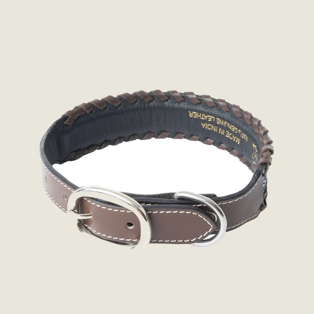 Handcrafted leather dog collar in black with braided turquoise and white beadwork, featuring a silver buckle.