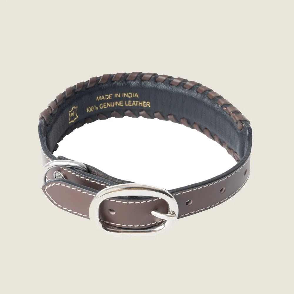 Braided leather dog collar in black with turquoise beadwork, featuring a silver buckle and durable design.