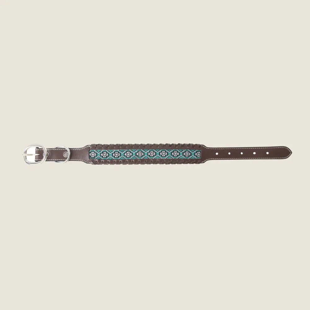 Braided leather dog collar in black, featuring turquoise and white Southwestern beadwork. Adjustable with a silver buckle.