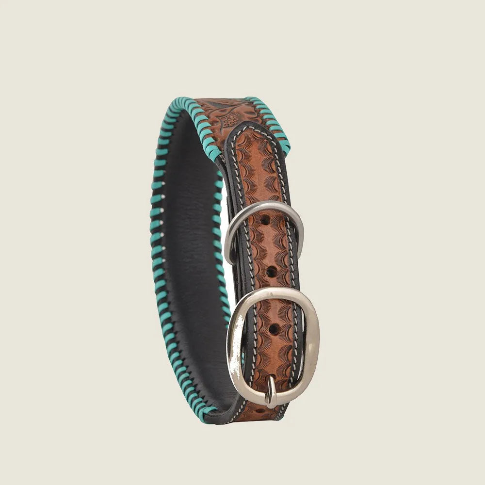 Hand-tooled leather dog collar featuring a floral pattern, with turquoise stitching and a silver buckle.