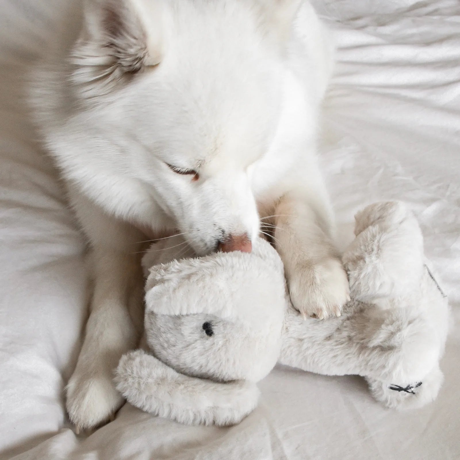 White dog gently interacts with Ella the Elephant plush toy, showcasing its soft faux fur and playful design.