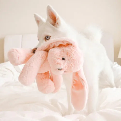 Fluffy white dog holding a soft, pink Ruby Rabbit toy with long ears on a cozy bedspread.