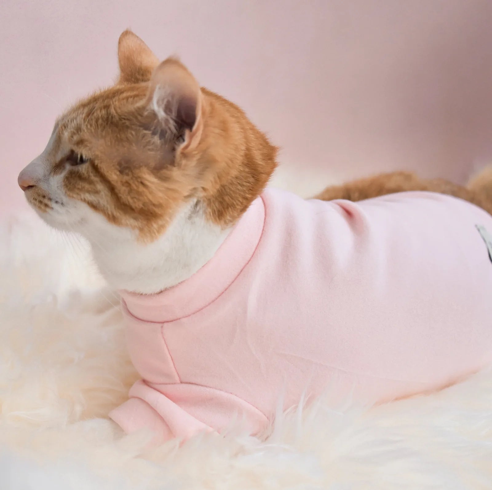 Fleece dog shirt in soft blush pink with mock neck, designed for comfort and style, perfect for lounging or walks.