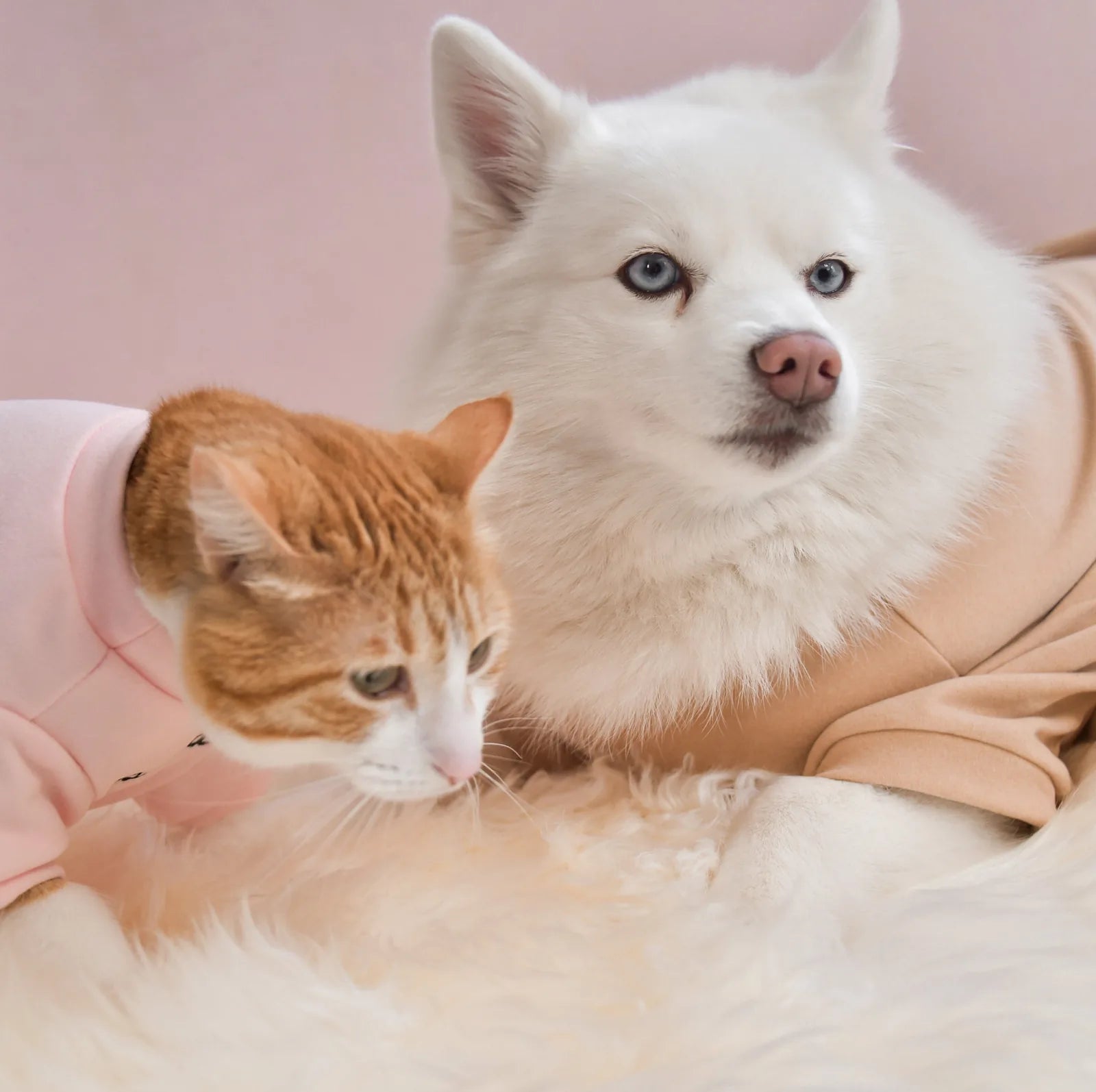 Blush fleece dog shirt with "spoiled" embroidery worn by a white dog beside a cat in matching pink apparel.