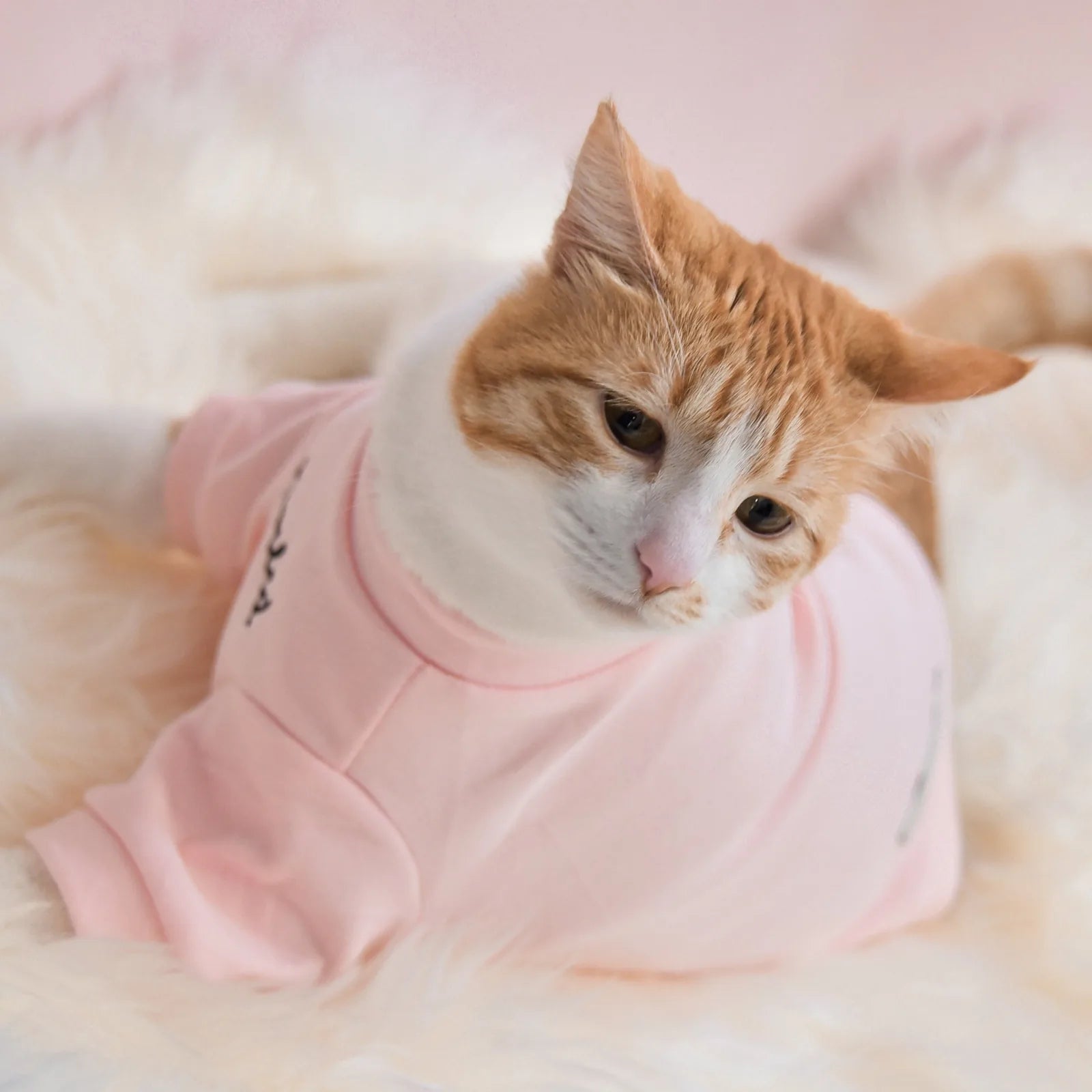 Cozy blush pink mock neck dog shirt featuring embroidered "spoiled" text, draped on a soft surface.