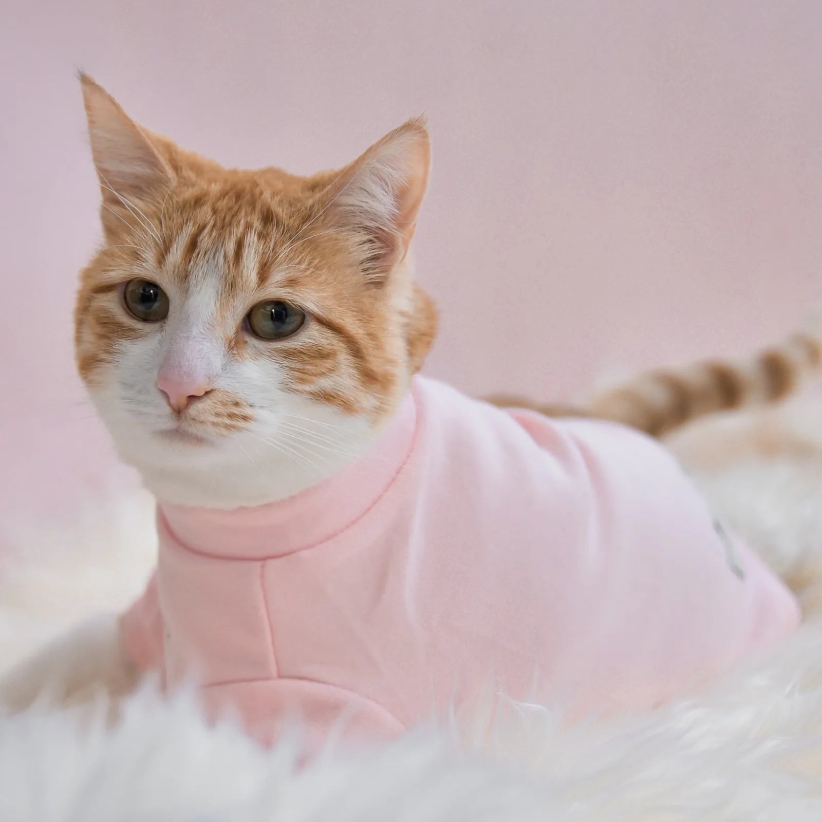 A cozy orange and white cat wearing a blush pink fleece mock neck shirt, lounging on soft white fur.