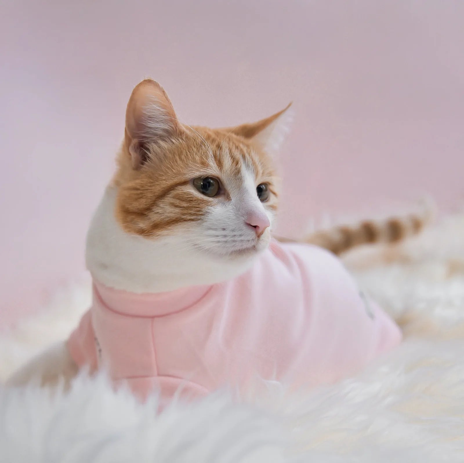 Fur Elise Spoiled Mock Neck Shirt in blush pink, made of soft fleece, worn by a cat lounging on a fluffy white surface.