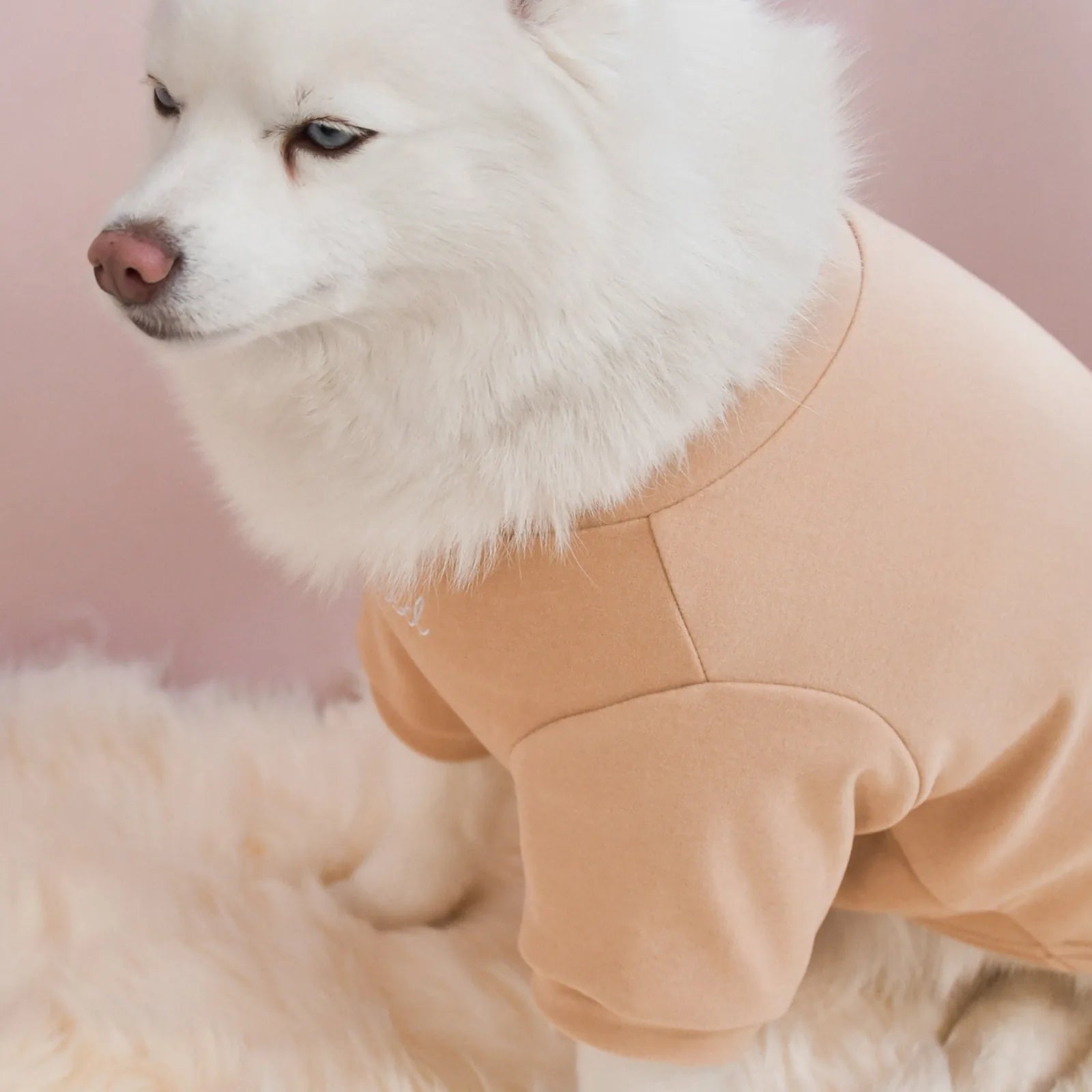 Cream-colored dog wearing a soft latte fleece mock neck shirt, sitting on a plush surface against a pink background.