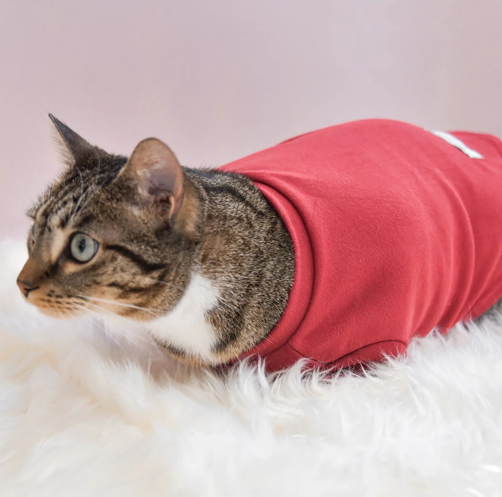 Red fleece mock neck shirt on a tabby cat, showcasing comfort and style against a fluffy white background.