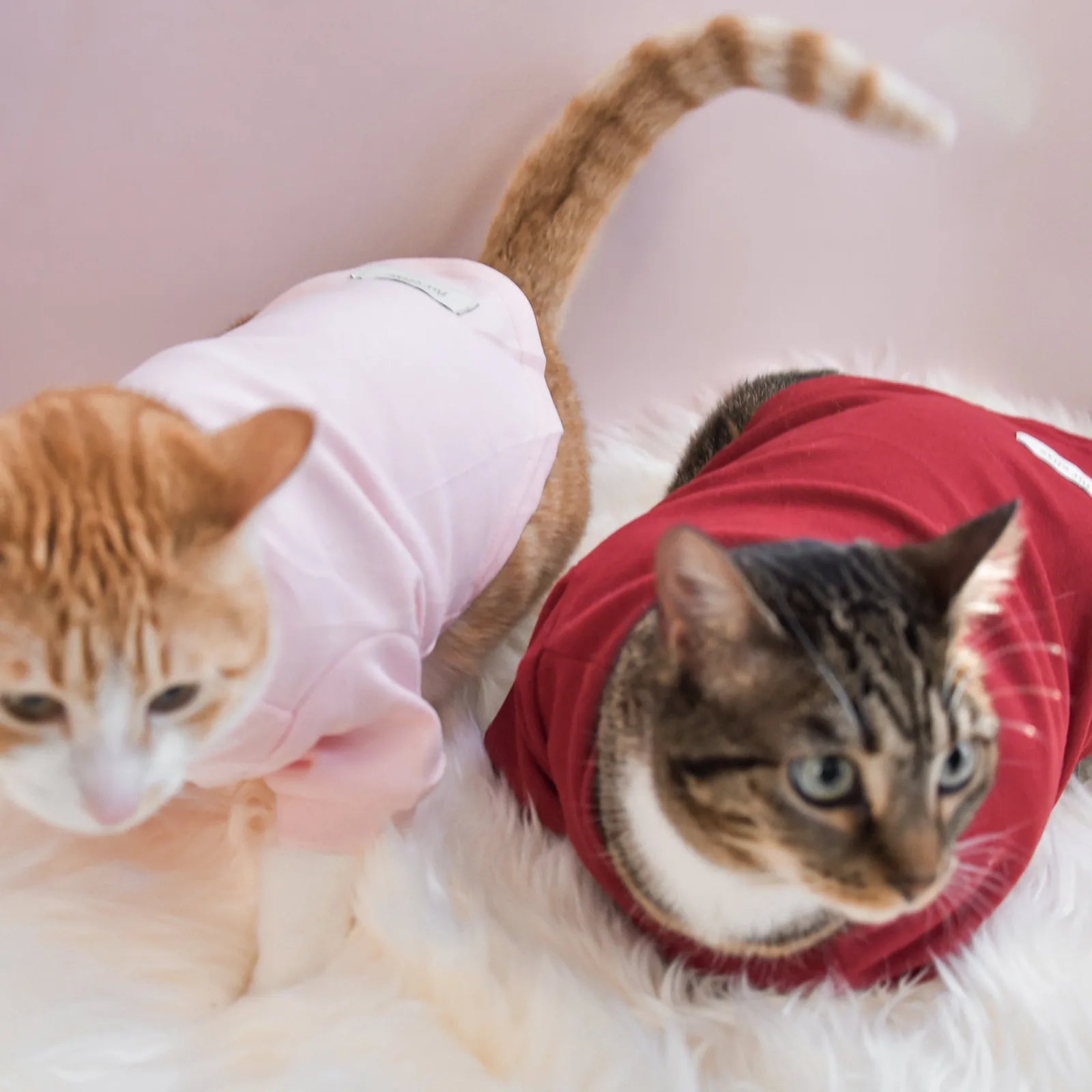 Two pets wearing soft fleece mock neck shirts; one in pink and one in red, on a fluffy white background.