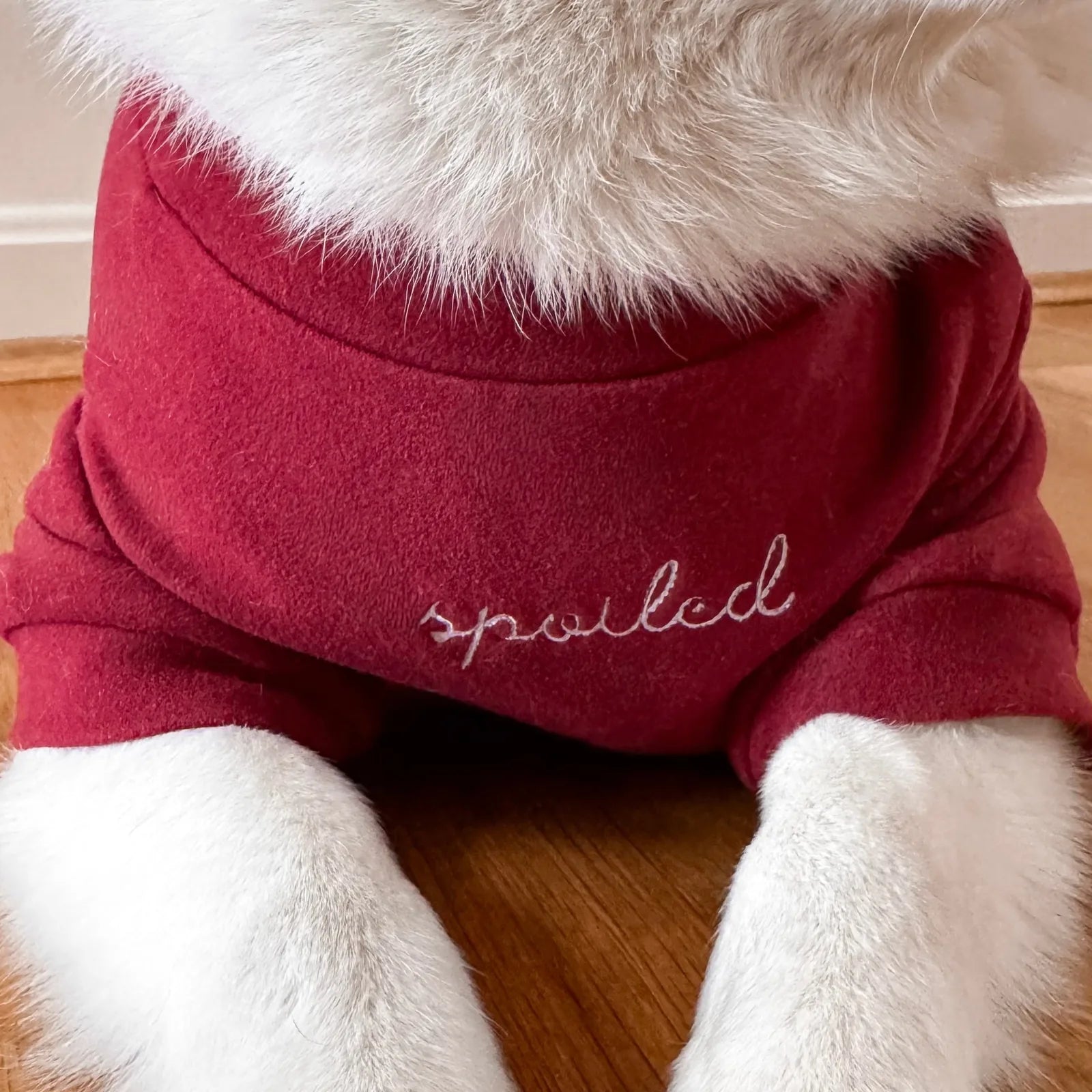 Cozy red fleece mock neck dog shirt with embroidered "spoiled" text, perfect for stylish comfort.