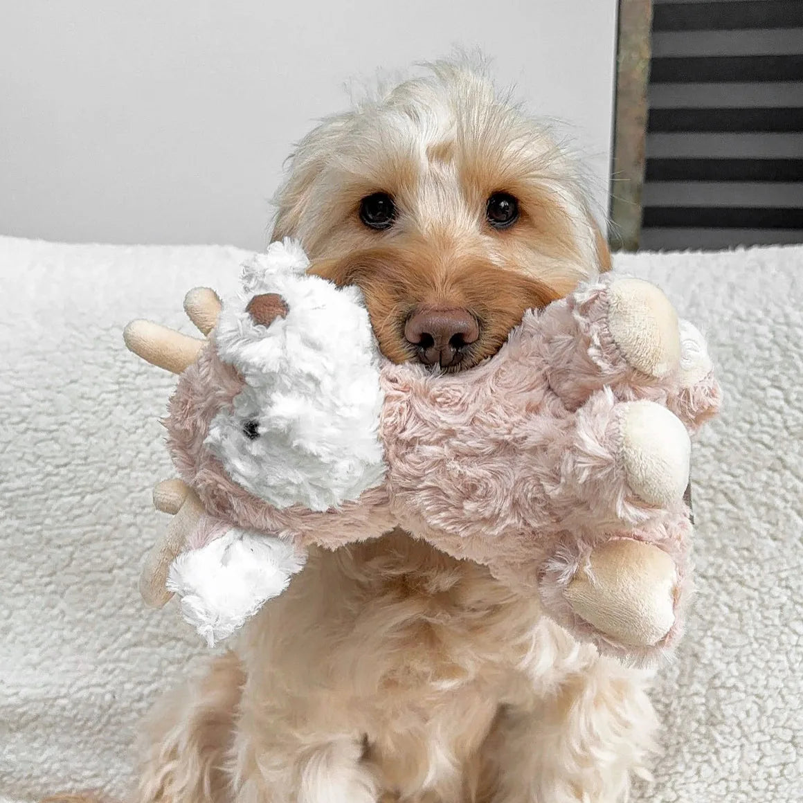 Soft plush Vixi the Reindeer toy in a dog's mouth, featuring white antlers and a cozy pink body for cuddly playtime.