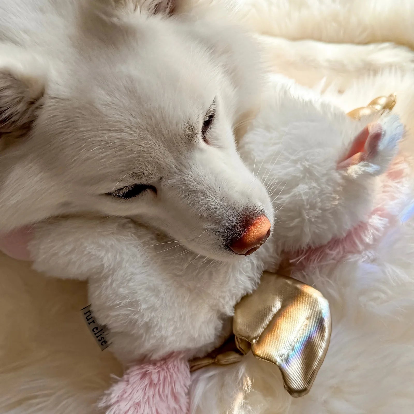 Soft plush Yuna the Unicorn toy with crinkly ears and a gold element, cuddled by a white dog on a fluffy blanket.