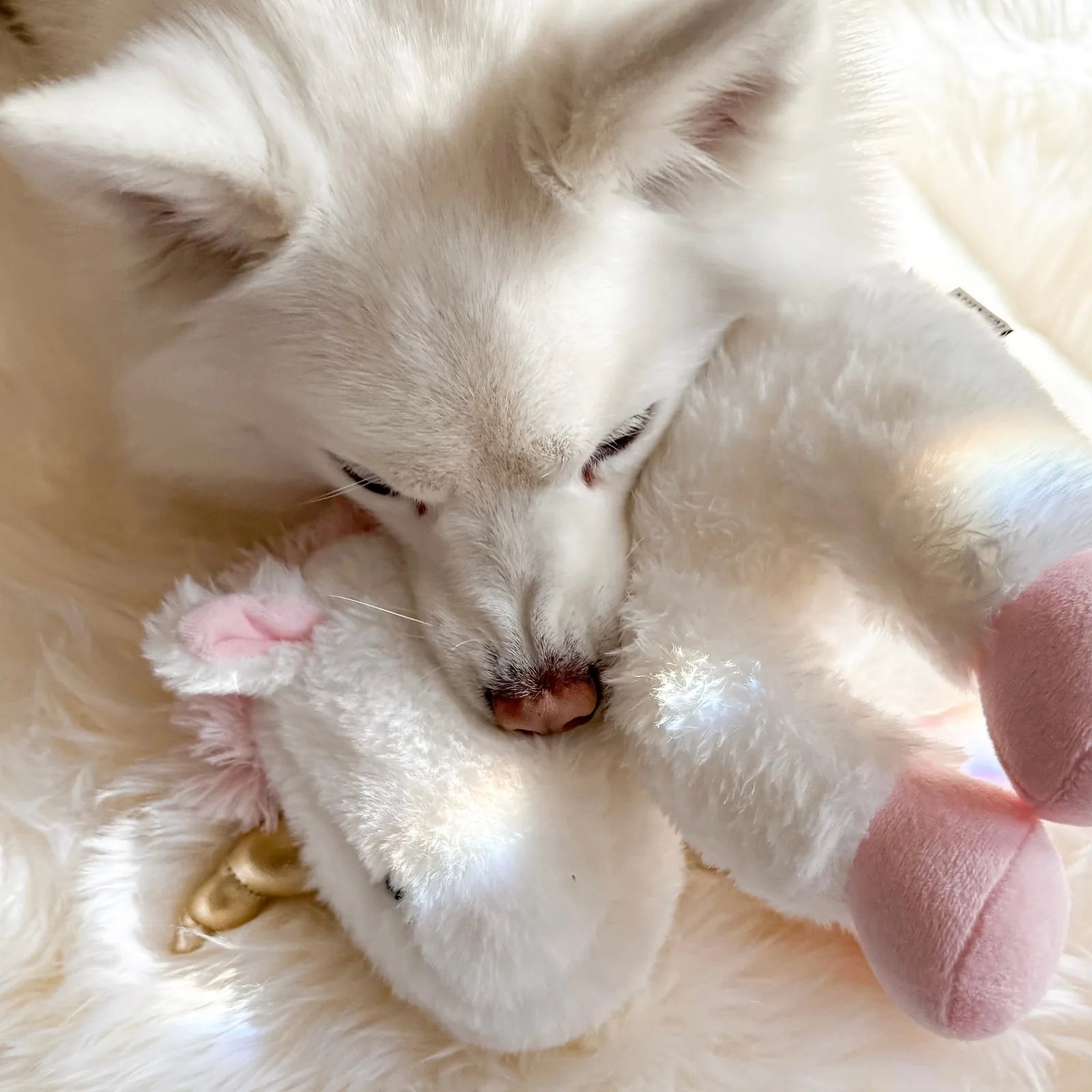 White dog cuddling a soft, plush unicorn toy with pink accents, resting on a fluffy surface.