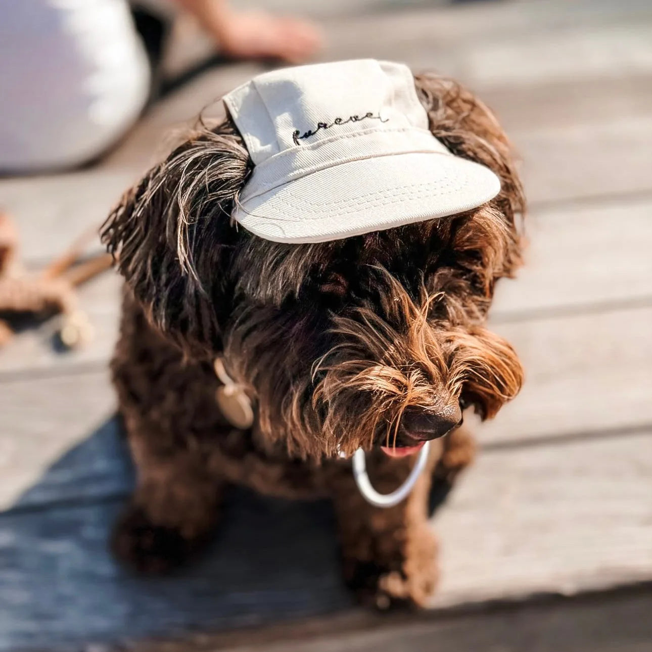 Lightweight beige pet hat with embroidered 'furever' on a dog's head, set against a wooden surface.