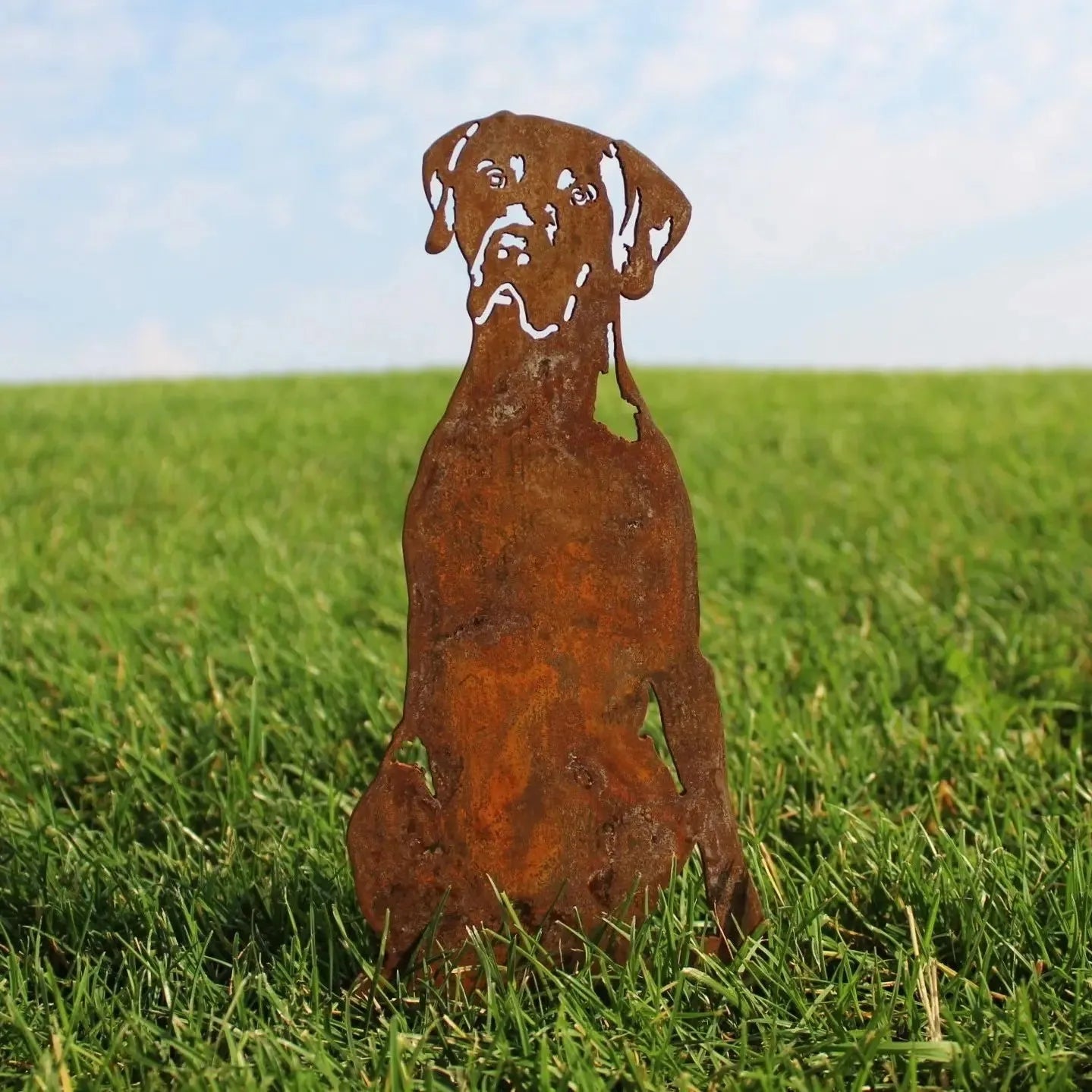 Rusty Corten steel silhouette of a German Shorthaired Pointer, standing in green grass under a blue sky.