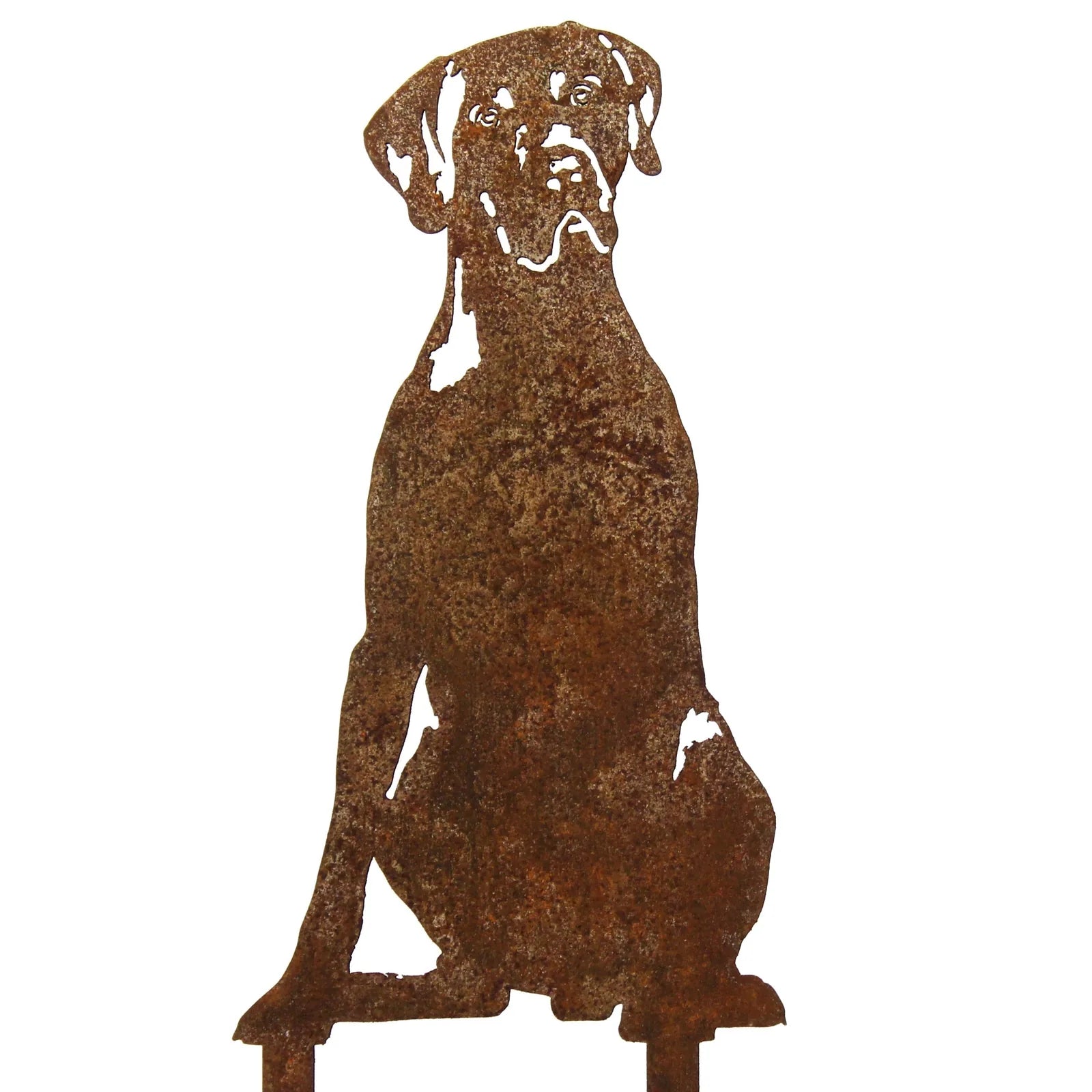 Rusty silhouette of a German Shorthaired Pointer crafted from sturdy metal, perfect for outdoor decor.