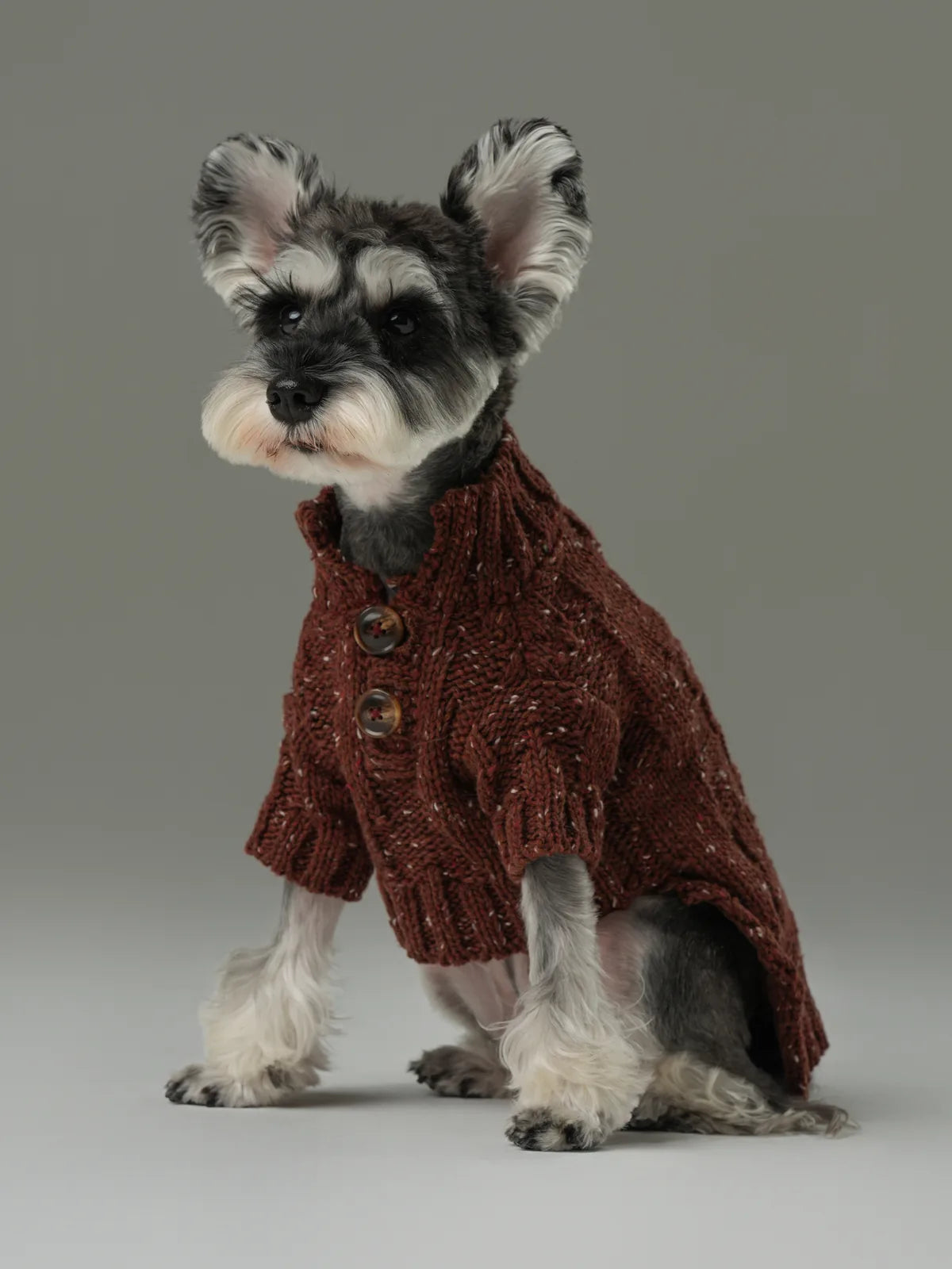 Burgundy pet sweater with vintage chest buttons and textured knit, designed for warmth and style.