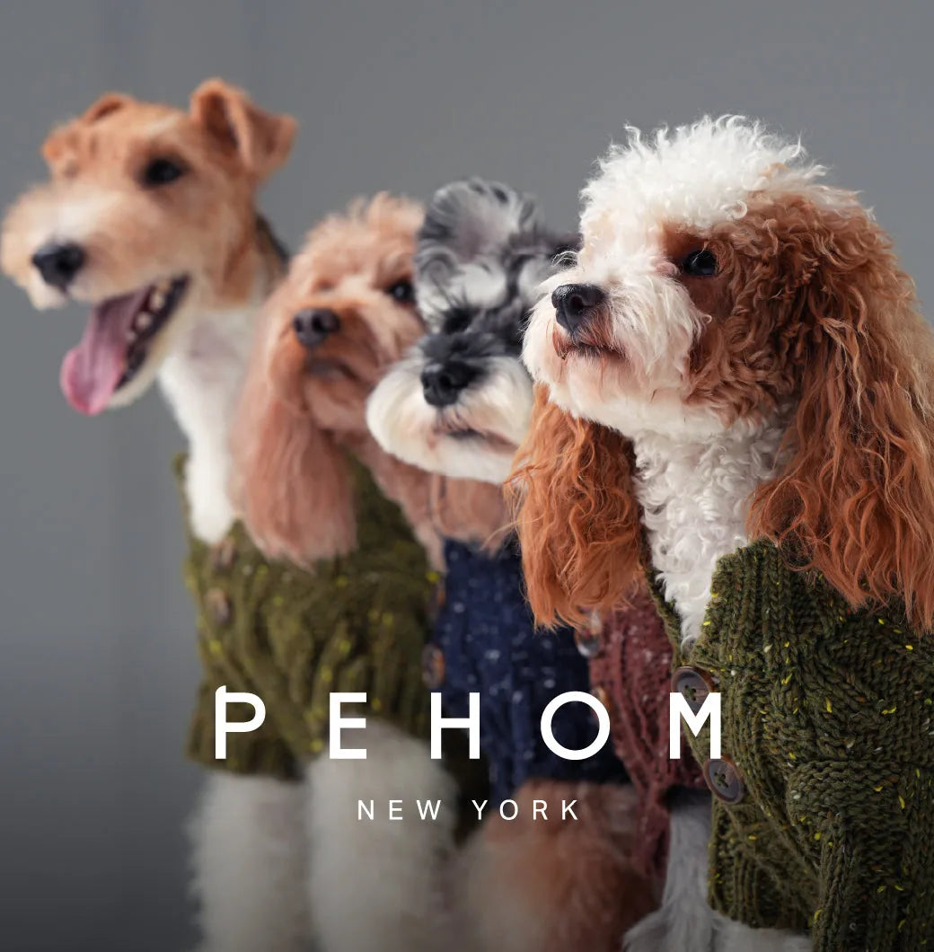 Four dogs wearing textured pet sweaters in burgundy and green, showcasing vintage chest buttons and snug designs.