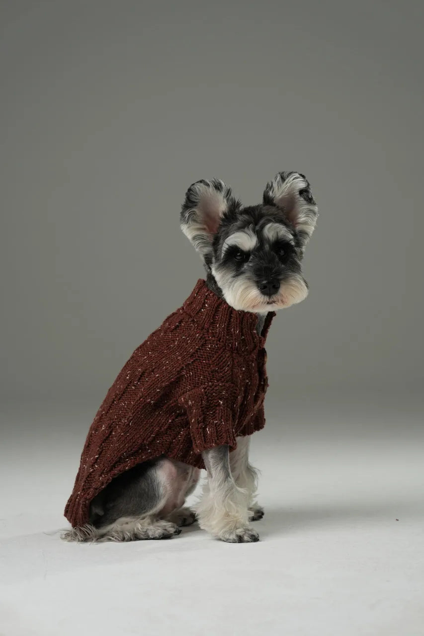 Burgundy high-neck pet sweater with a textured knit design and vintage chest buttons, perfect for stylish warmth.
