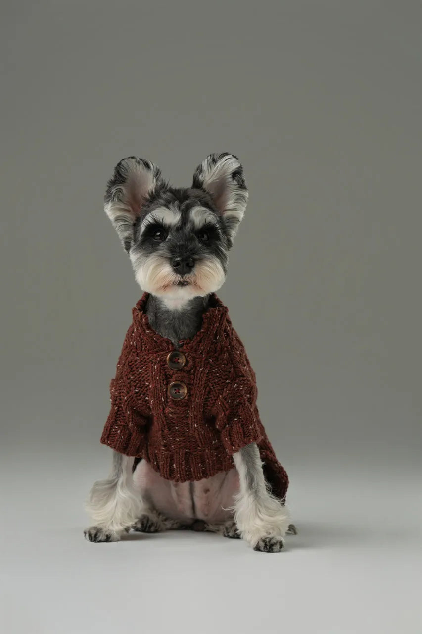 Burgundy pet sweater with textured knit, vintage buttons, and high-neck design, perfect for warmth and style.