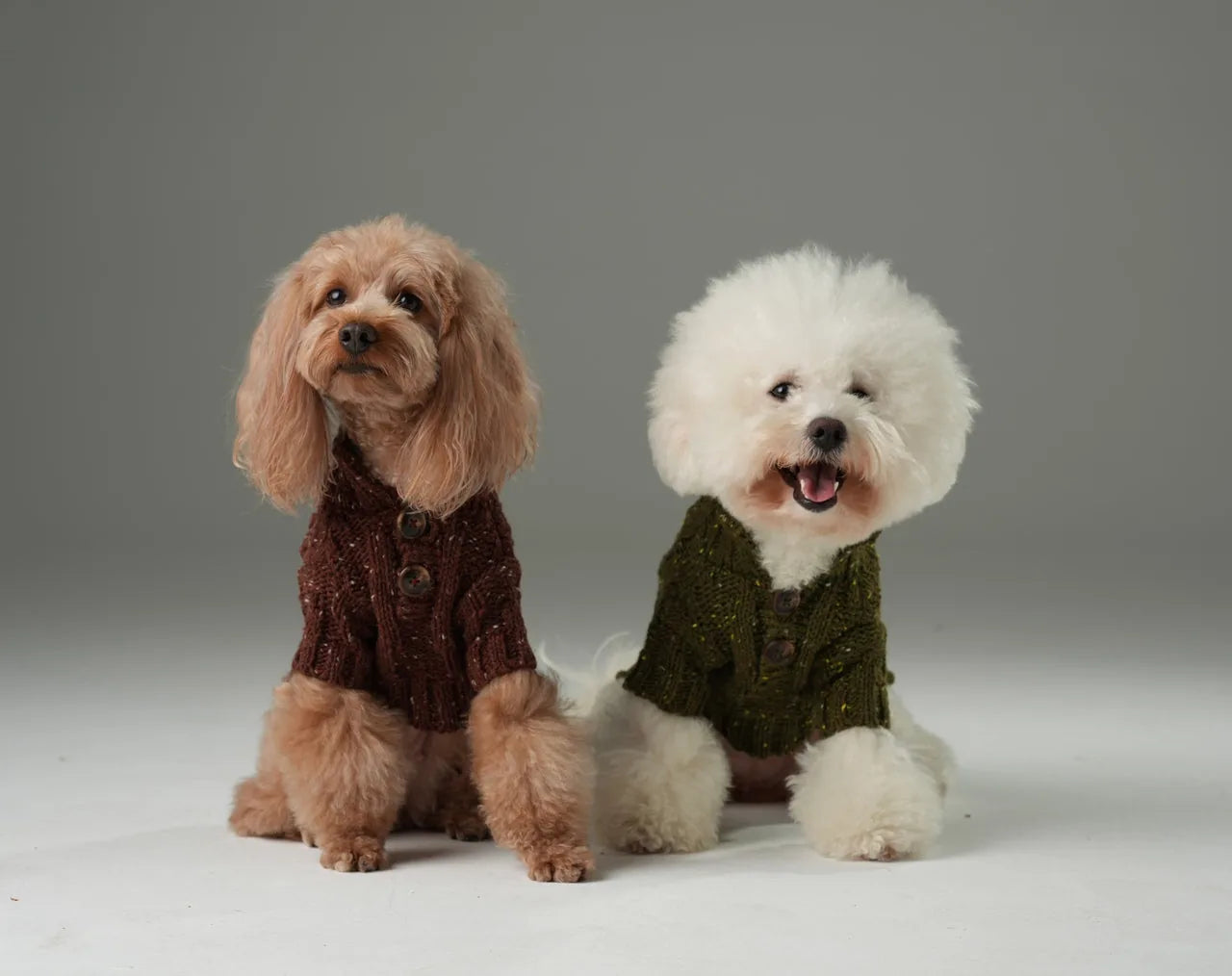 Two dogs wearing cozy, textured pet sweaters; one in burgundy with buttons, the other in green with a playful expression.